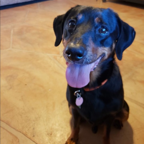 Meet your Posher, Ruth - Picture 2 of 6